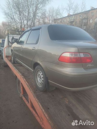 Fiat Albea в разборе
