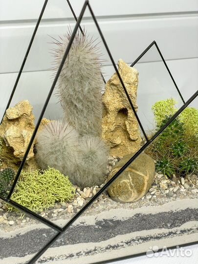 Флорариум кактусы горы подарок букет цветы