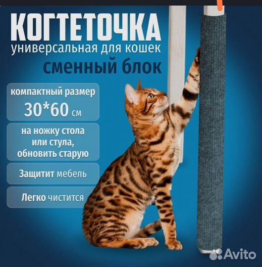 Когтеточка
