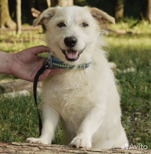 Маленький Филя в дар