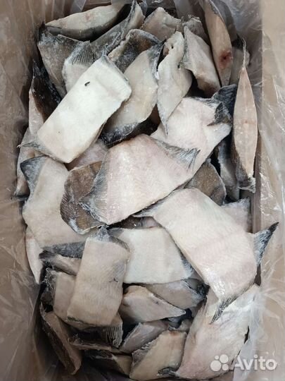 Скумбрия Кета Камбала Минтай