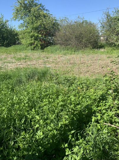 Дом 25,8 м² на участке 11,7 сот.