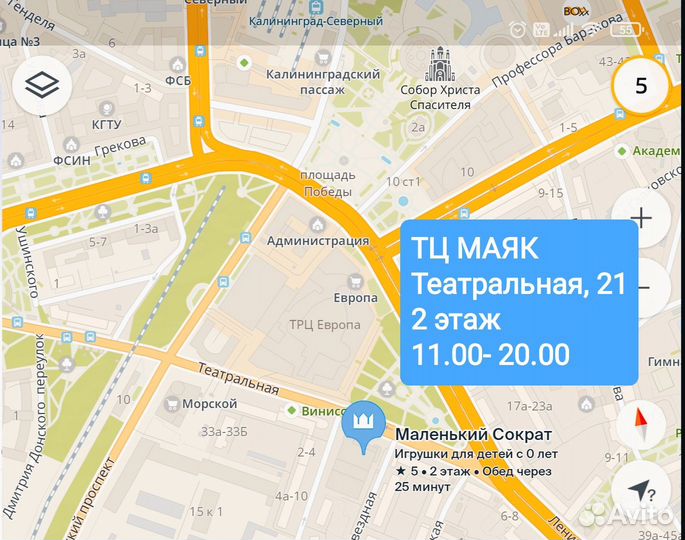 Интерактивный Кот на Р/у много Функций +обучение