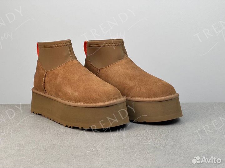 Ботинки песочные classic mini dipper chestnut UGG