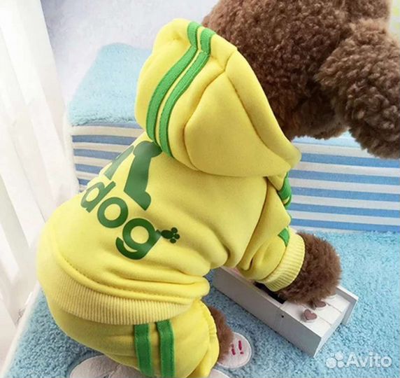 Одежда для маленьких собак