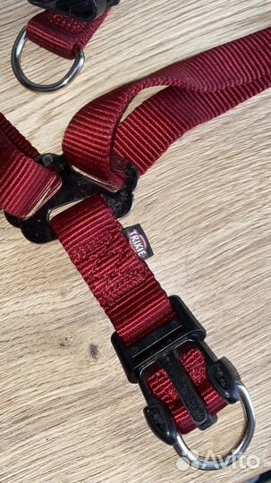Шлейка для большой собаки, строгий ошейник