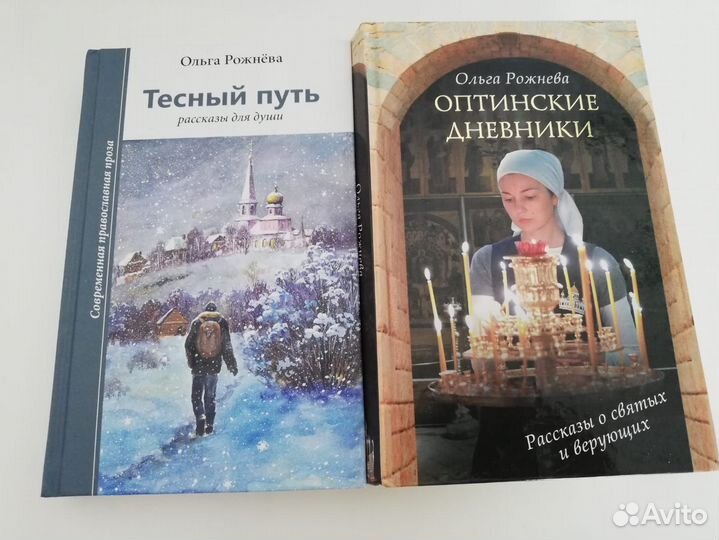 Книга Рожнёва и Несвятые Святые