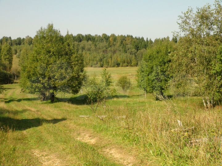 Участок 6 га (СНТ, ДНП)