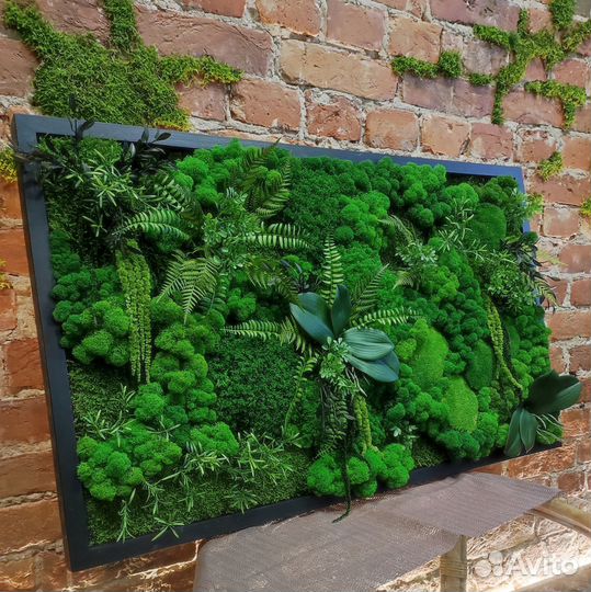 Панно из мха с растениями