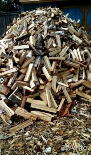 Дрова осина