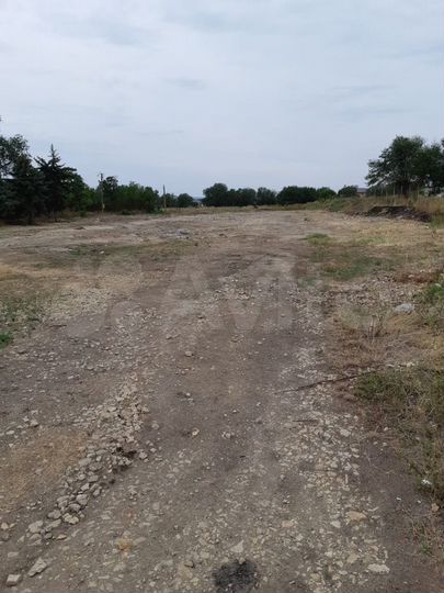 Участок 65 сот. (СНТ, ДНП)