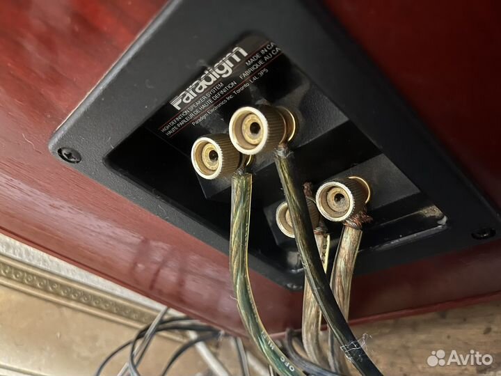 Paradigm reference studio 100