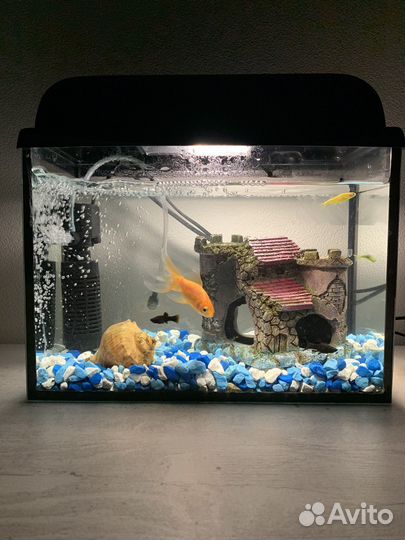 Аквариум 10л с рыбками + корма и добавки