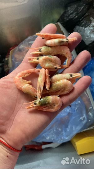 Продажа морепродуктов