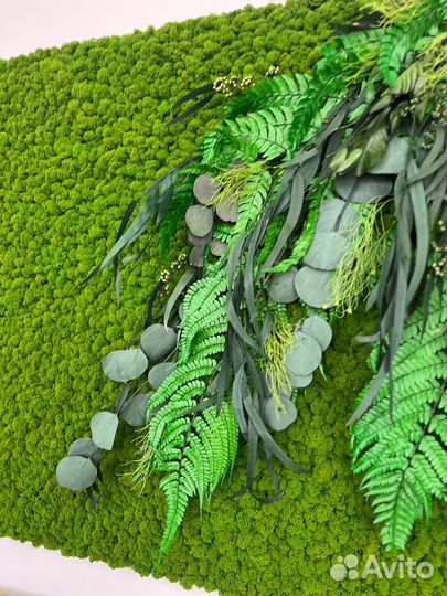 Панели из стабилизированного мха и растений