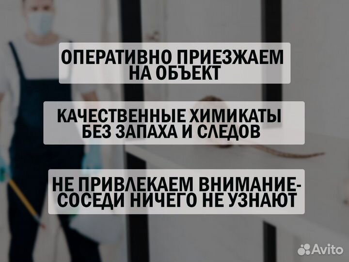 Уничтожение тараканов травить клопов обработка