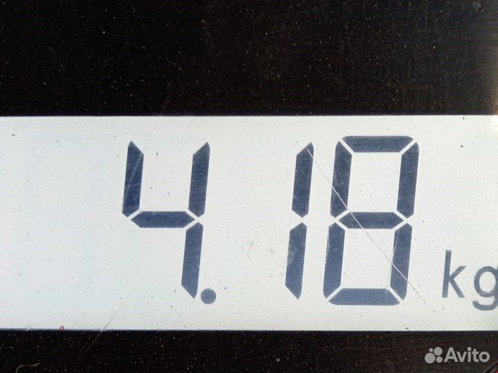 Стартер для Ford Transit 5 1709189