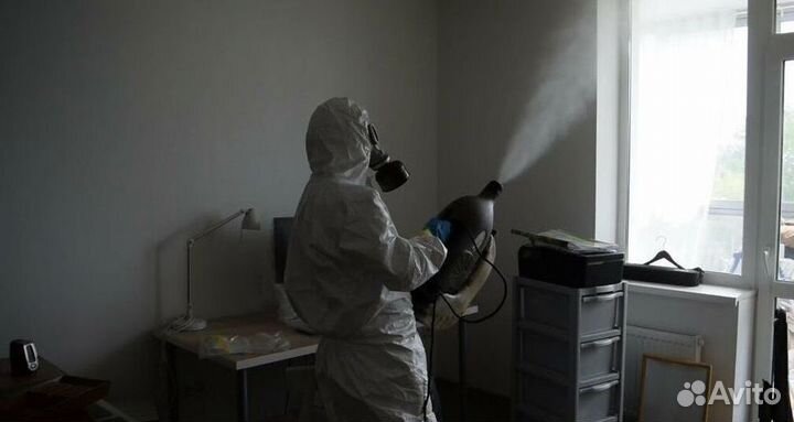 Уничтожение тараканов клопов плесени дезинфекция