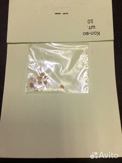 Монгольский Карлик томат семена от Кашиной