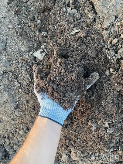 Навоз перегной