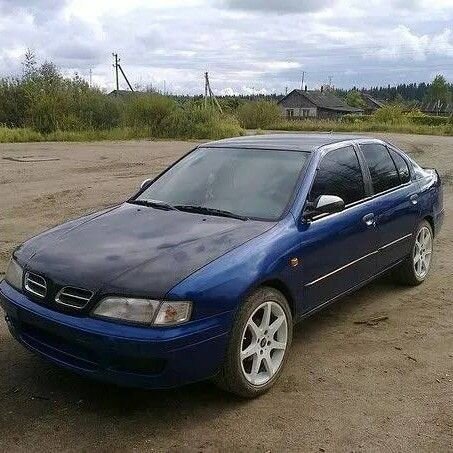 Nissan Primera: фото владельца
