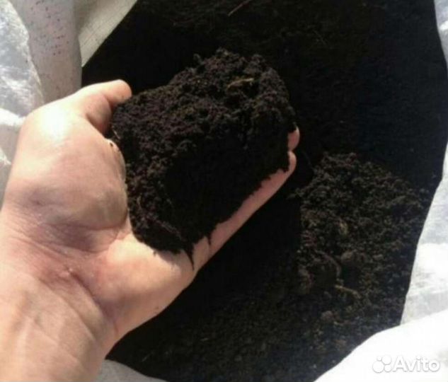 Земля чернозем