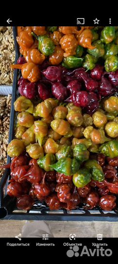 Мир сухофруктов