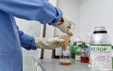 Уничтожение тараканов клопов мышей муравьёв клещей