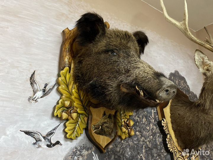 Чучело кабана и оленя