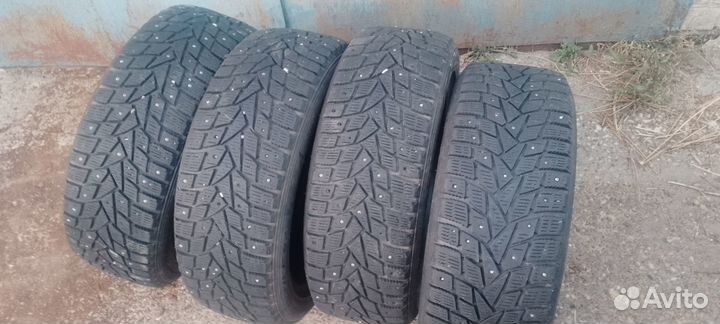 Dunlop Winter Maxx 205/50 R17 93