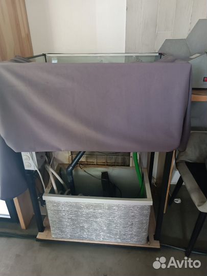 Аквариум для устриц