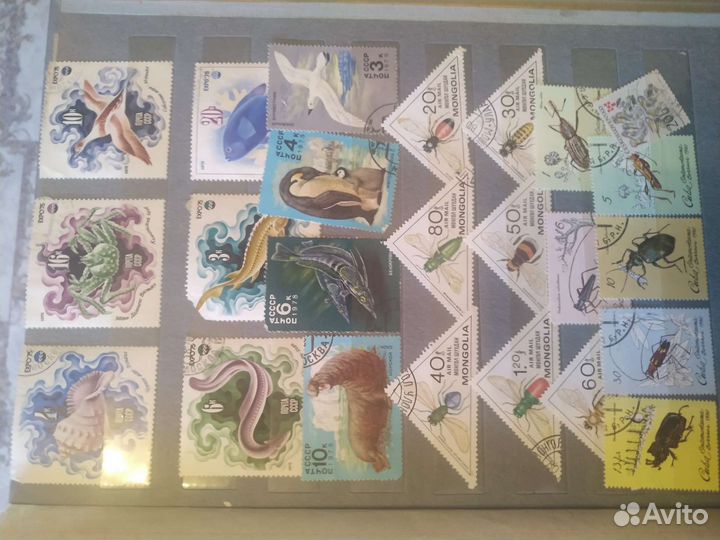 Почтовые марки альбом