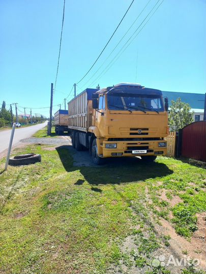 КАМАЗ 65117, 2010