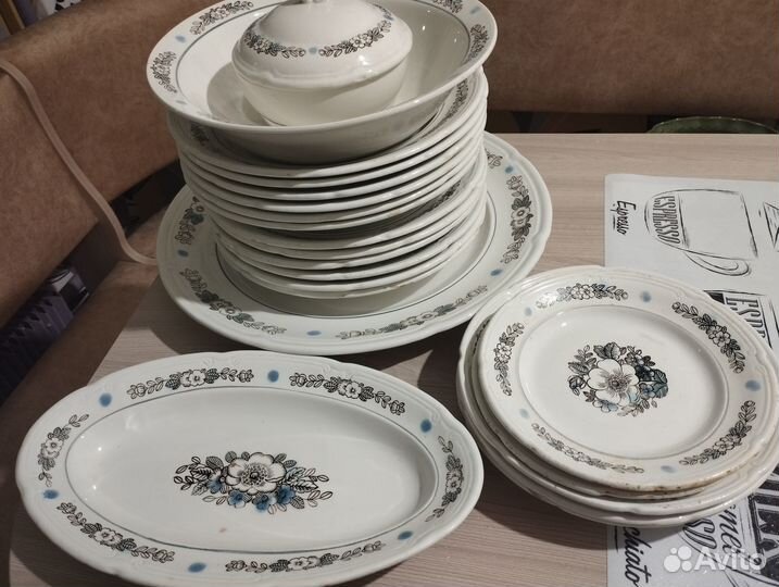 Фаянсовая посуда 21 предмета зик 