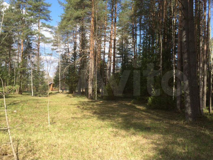 Участок 2,03 га (ИЖС)