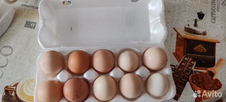 Яйцо домашнее