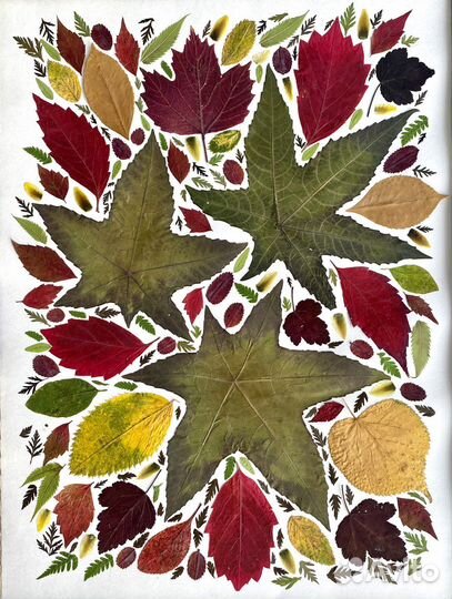 Панно с осенними листьями