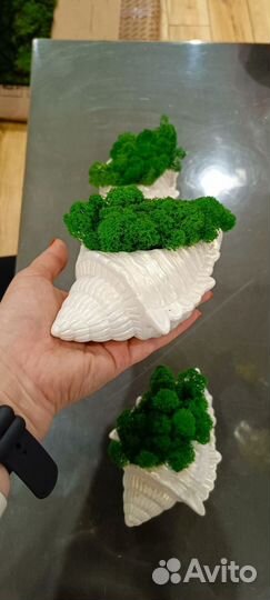 Искусственные растения