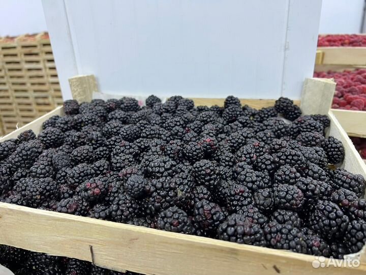 Киргизская клубника