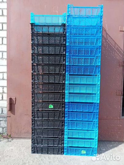 Ящики для грибов