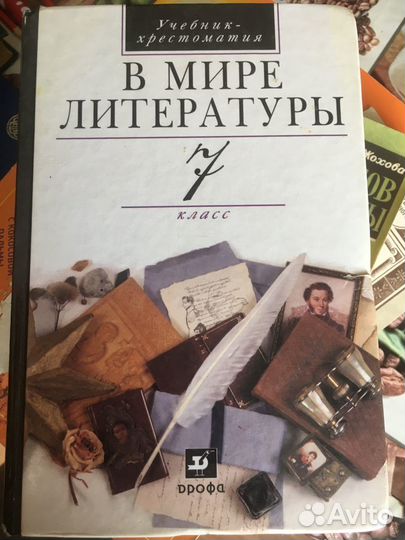 В мире литературы