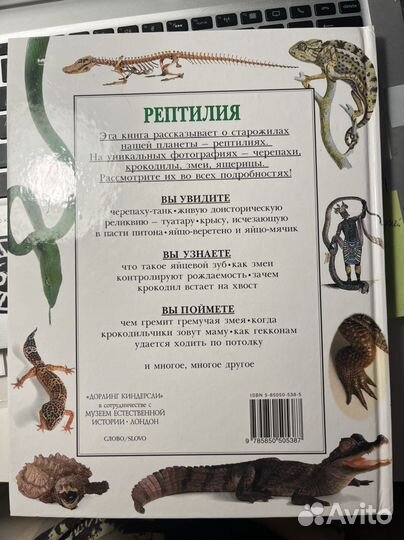Книга «Рептилия»