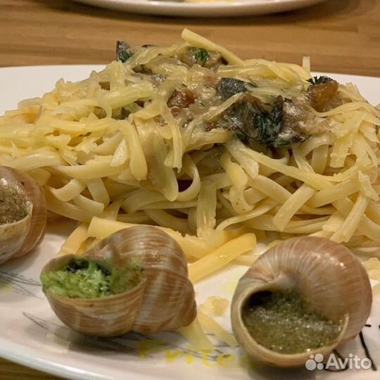 Ракушки раковины рапаны улиток