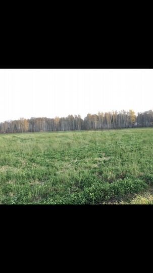 Участок 5,7 га (СНТ, ДНП)