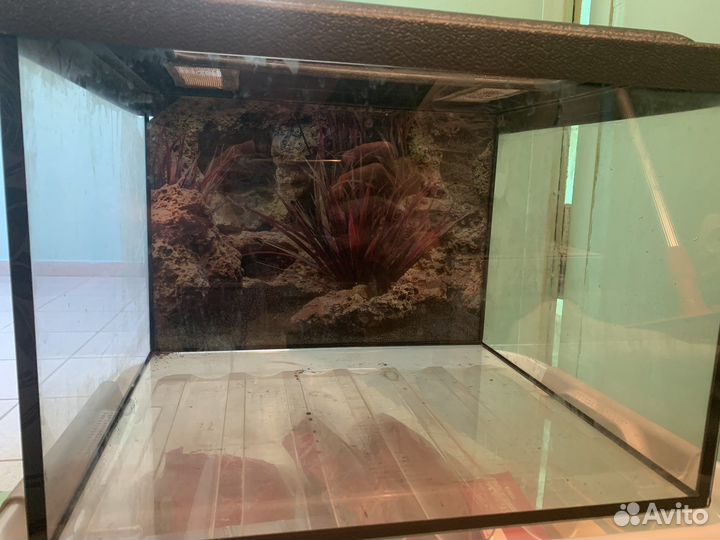 Аквариум 40 литров