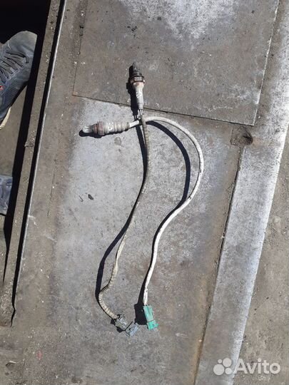 Лямдо зонд Citroen C3