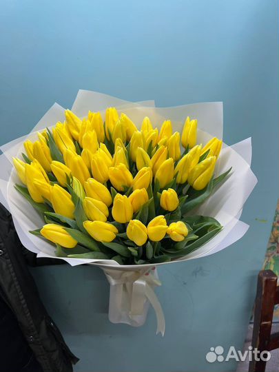 Тюльпаны к 8 марта