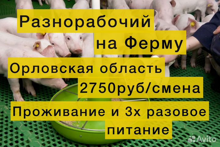 Работа вахта с проживанием и 3х разовым питанием