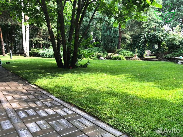 Рулонный газон