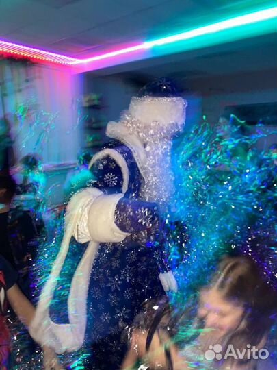 Дед Мороз и Снегурочка на дом